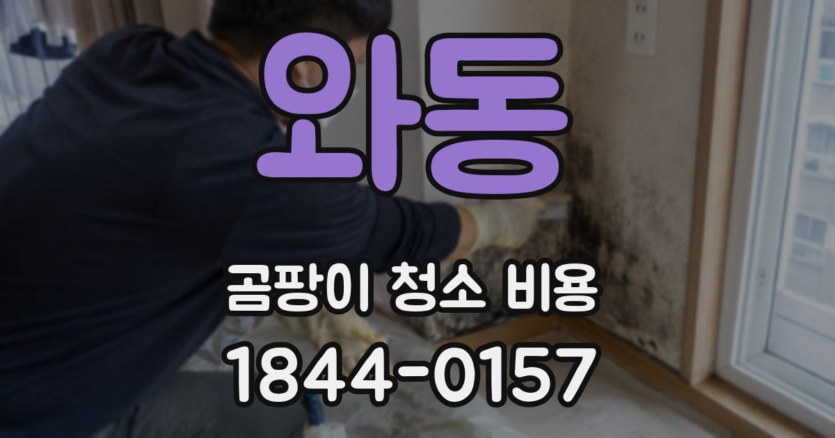 와동 곰팡이 청소 비용