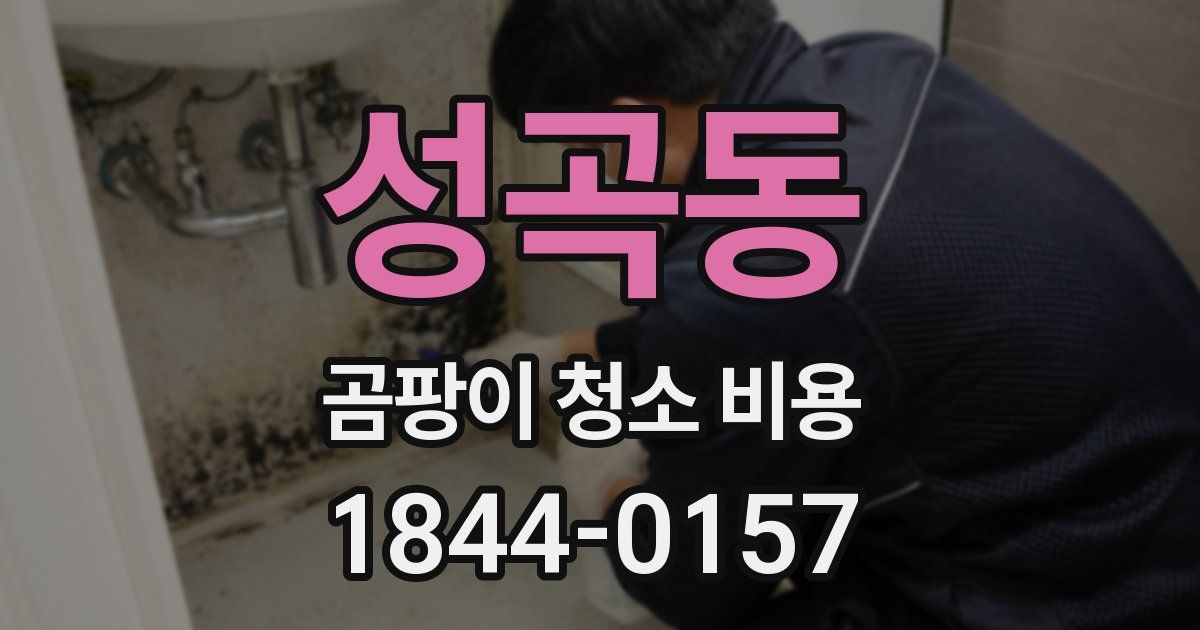 성곡동 곰팡이 청소 비용