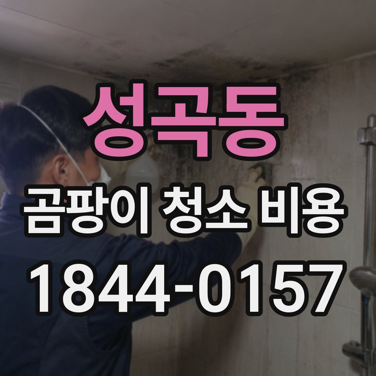 성곡동 곰팡이 청소 비용