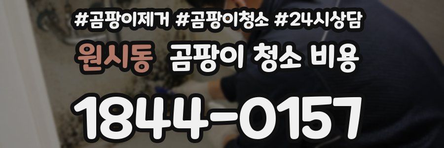 원시동 곰팡이 청소 비용