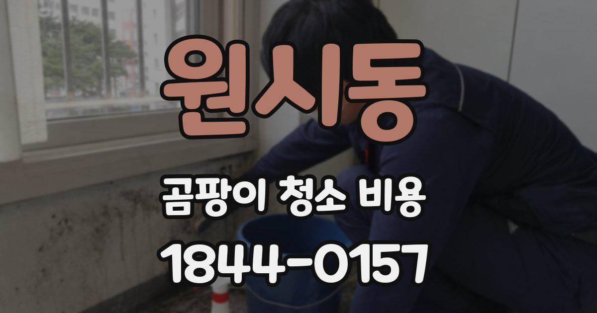 원시동 곰팡이 청소 비용