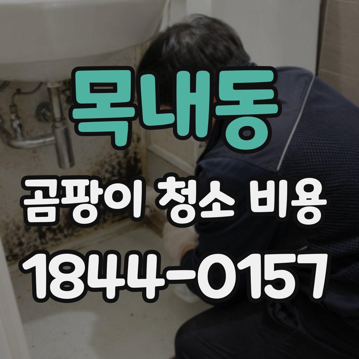 목내동 곰팡이 청소 비용