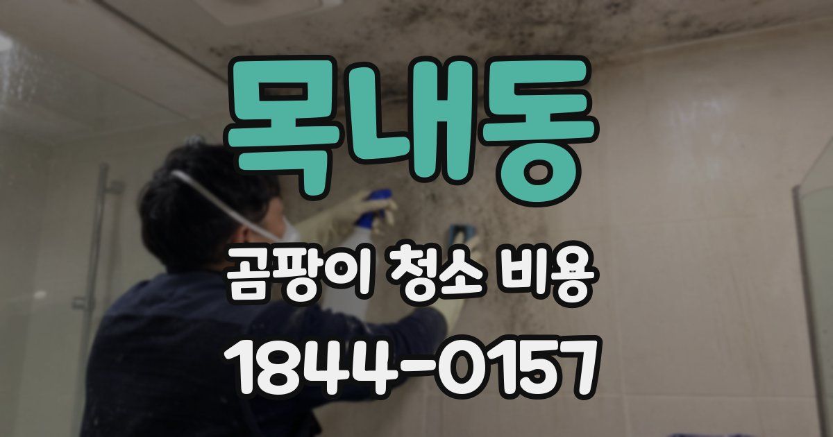 목내동 곰팡이 청소 비용