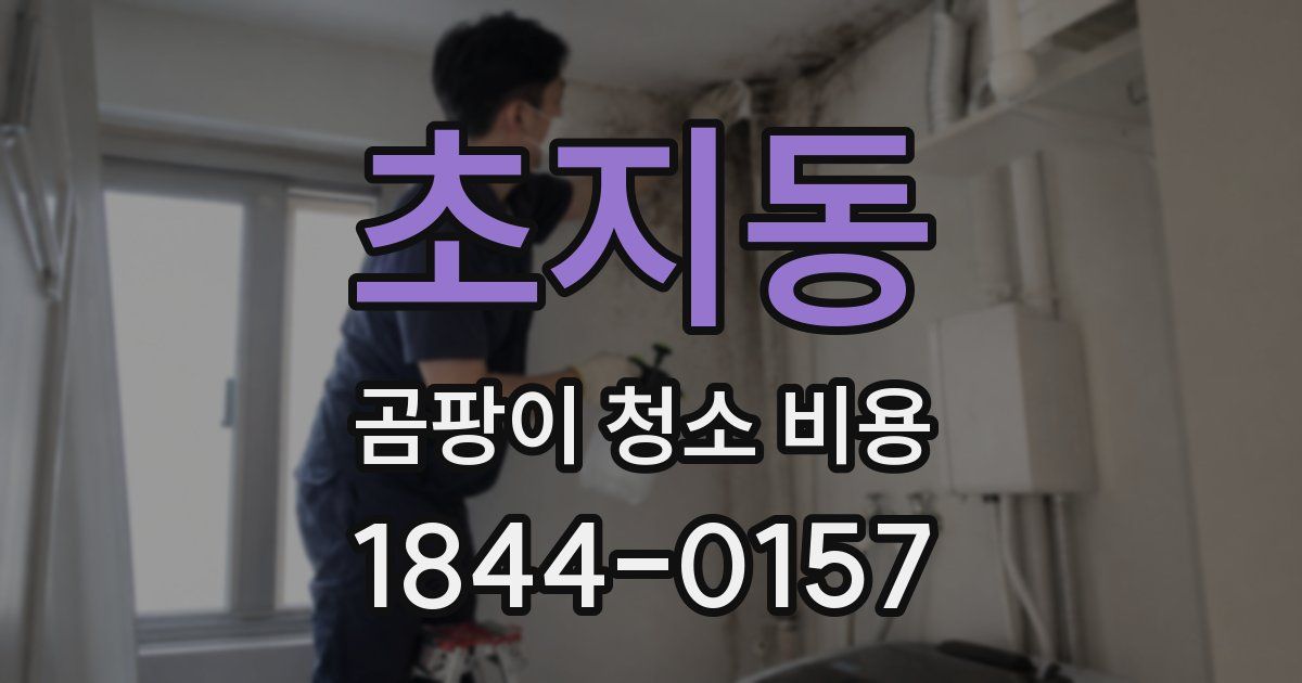 초지동 곰팡이 청소 비용