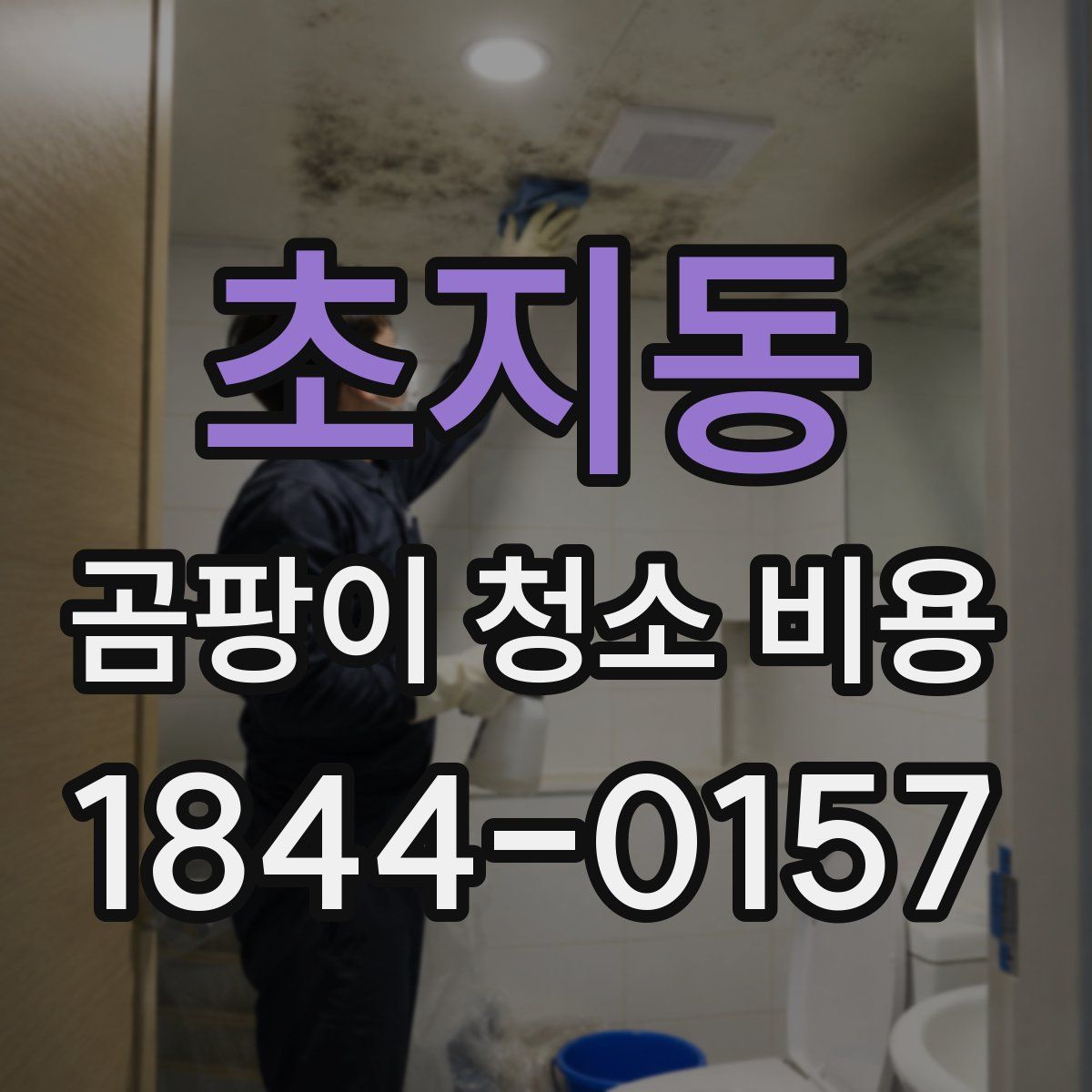 초지동 곰팡이 청소 비용