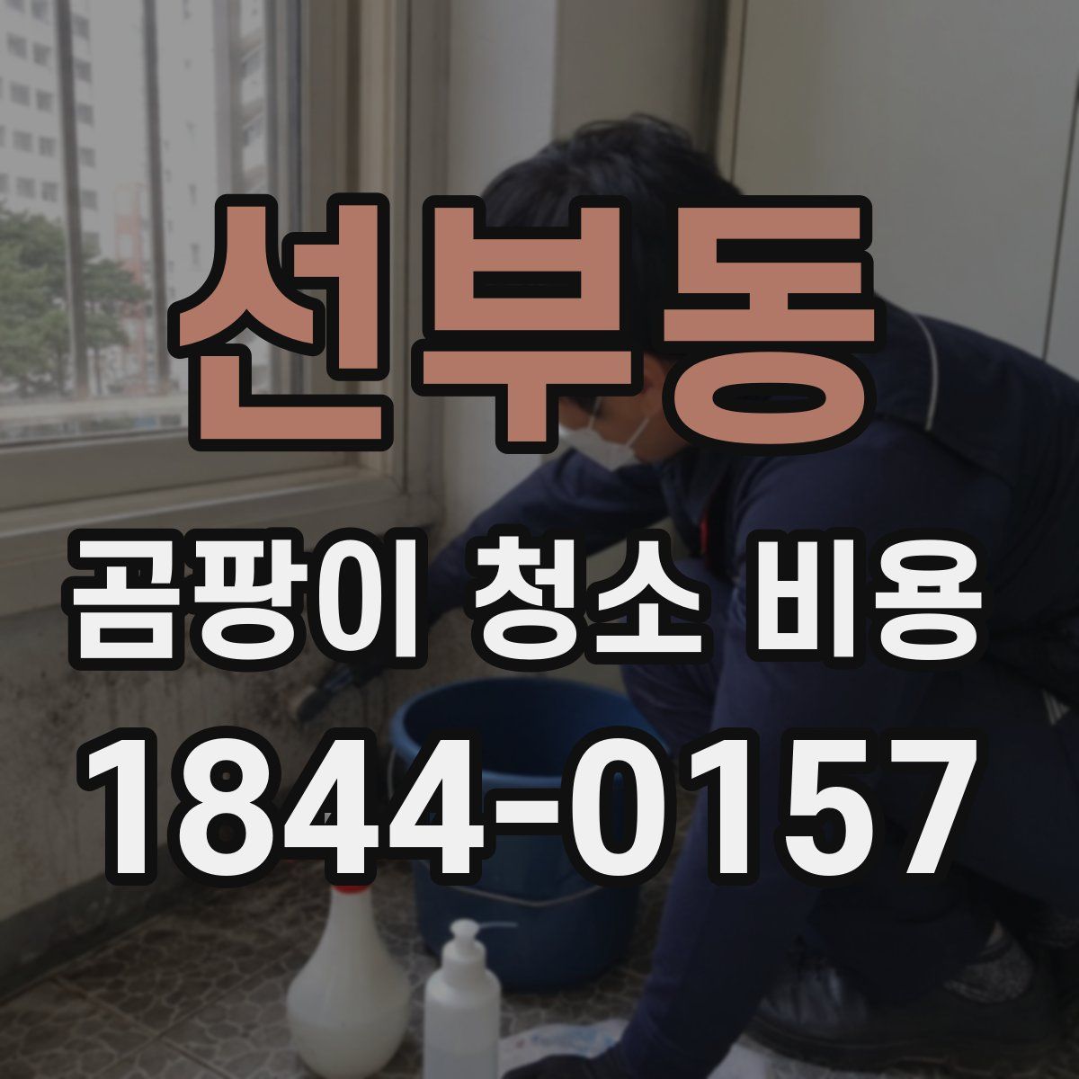 선부동 곰팡이 청소 비용