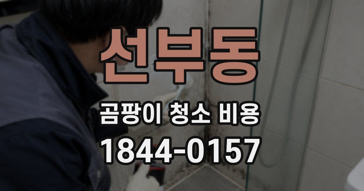 선부동 곰팡이 청소 비용