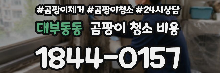 대부동동 곰팡이 청소 비용