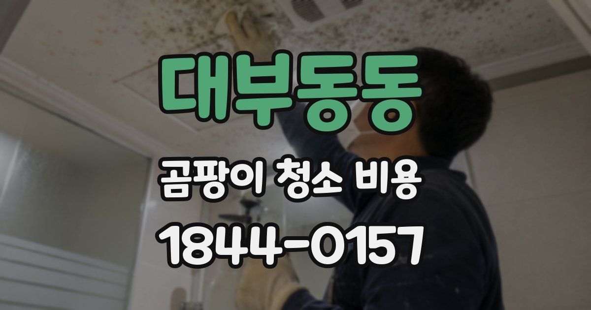 대부동동 곰팡이 청소 비용