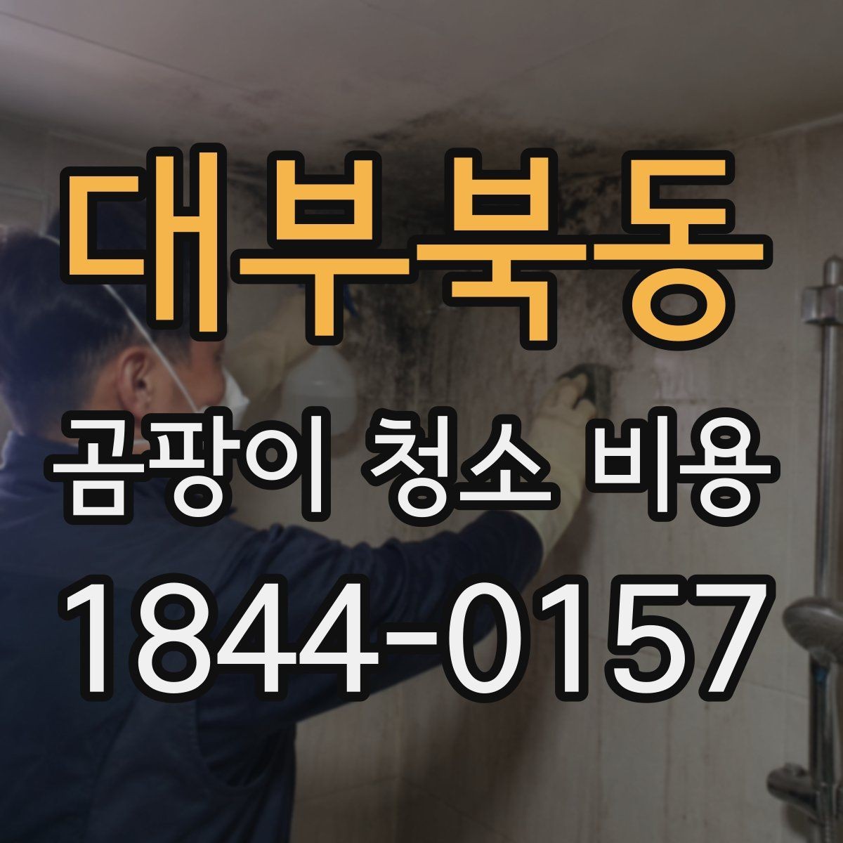 대부북동 곰팡이 청소 비용 천장과 몰딩 주변이 비싸지는 상황