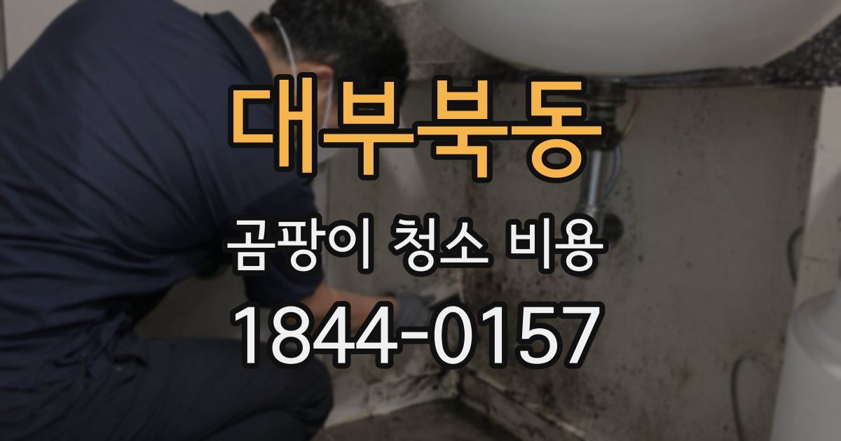 대부북동 곰팡이 청소 비용