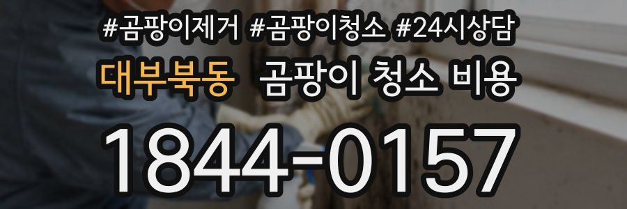 대부북동 곰팡이 청소 비용