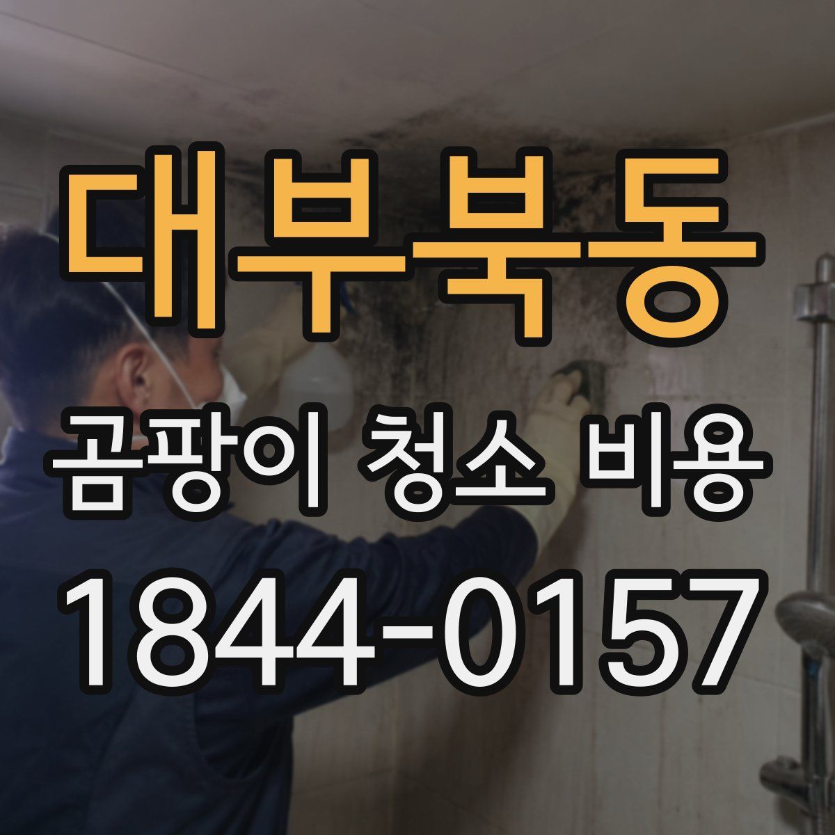 대부북동 곰팡이 청소 비용