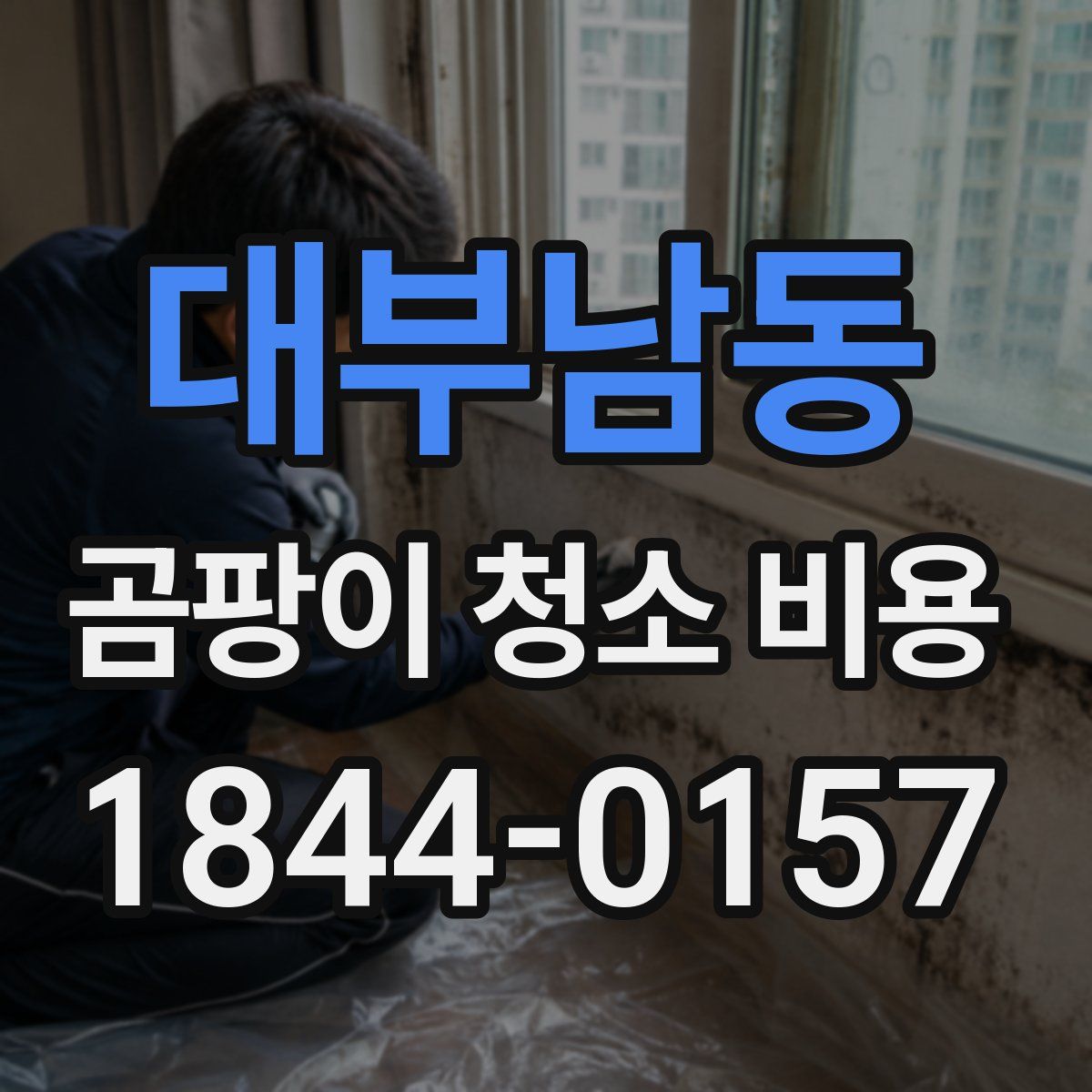 대부남동 곰팡이 청소 비용
