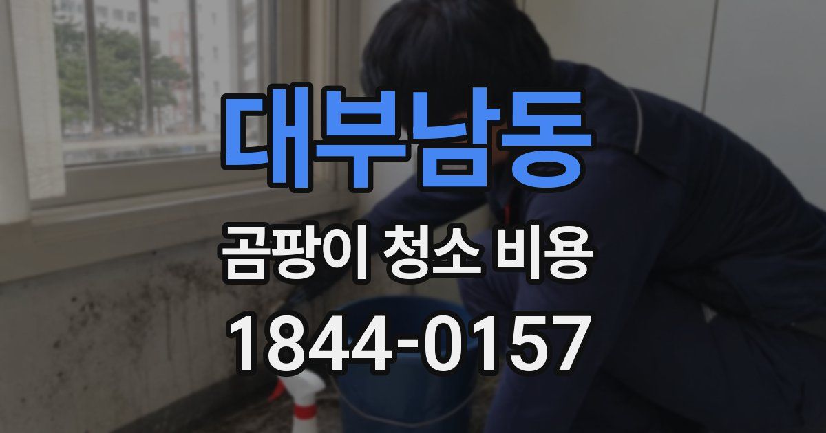 대부남동 곰팡이 청소 비용