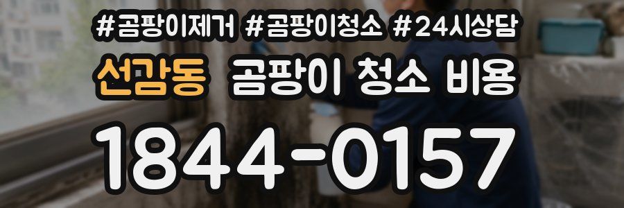 선감동 곰팡이 청소 비용