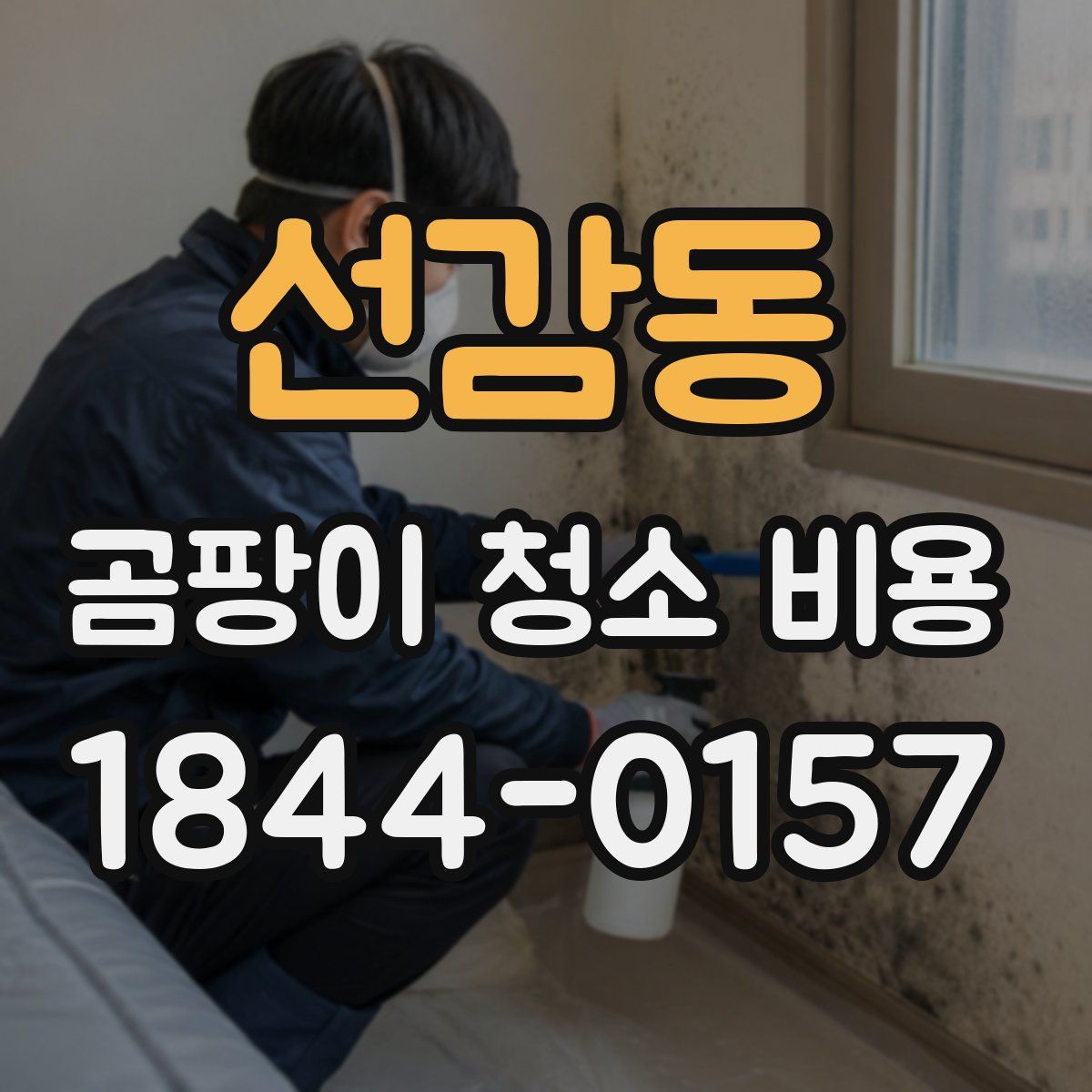 선감동 곰팡이 청소 비용