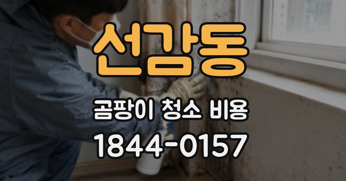 선감동 곰팡이 청소 비용
