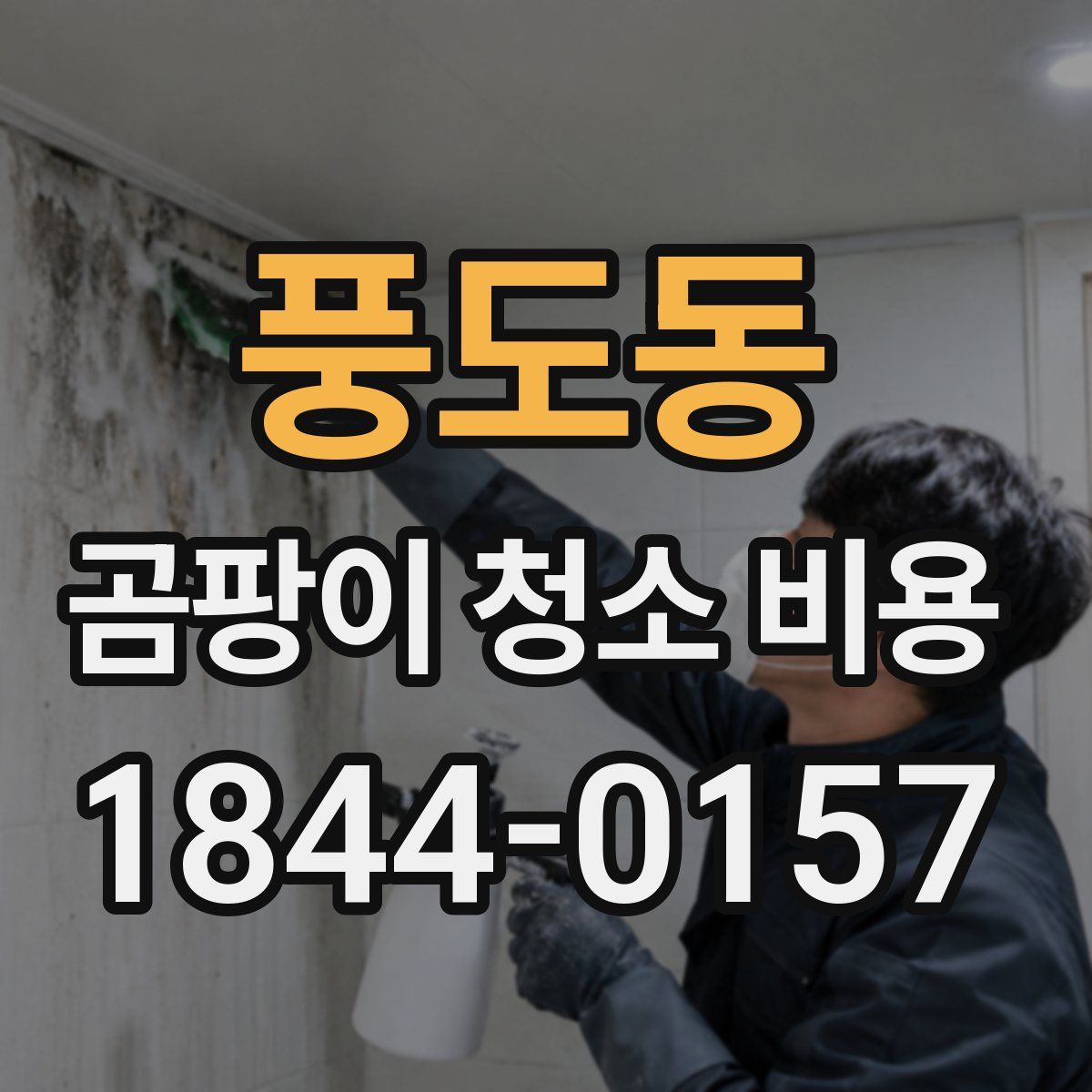 풍도동 곰팡이 청소 비용