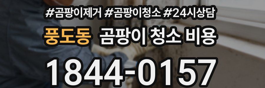 풍도동 곰팡이 청소 비용