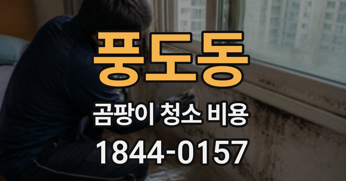 풍도동 곰팡이 청소 비용