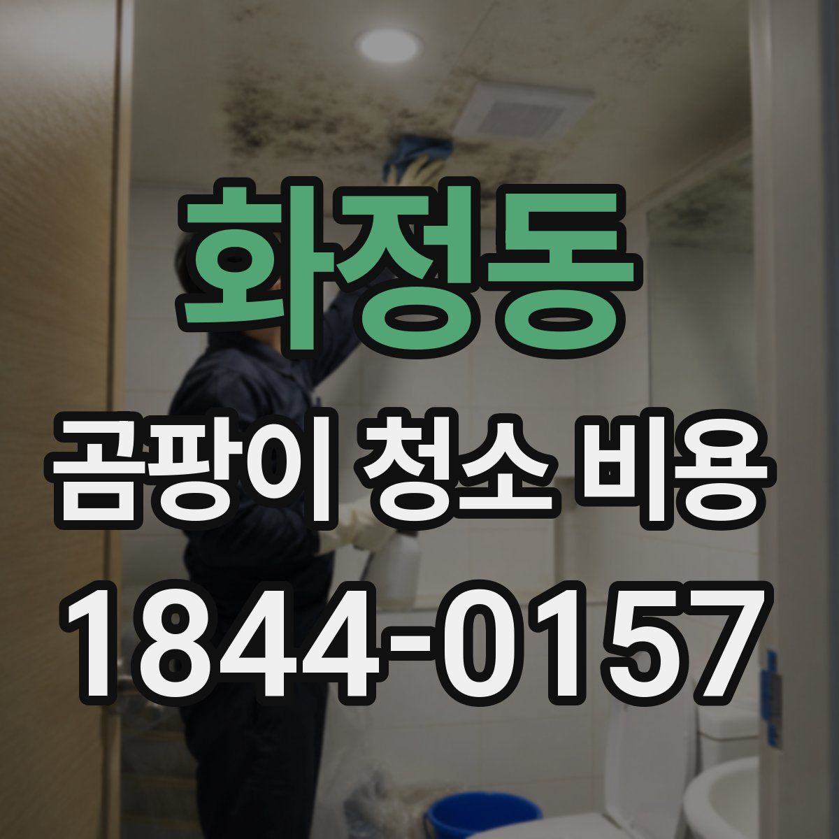 화정동 곰팡이 청소 비용