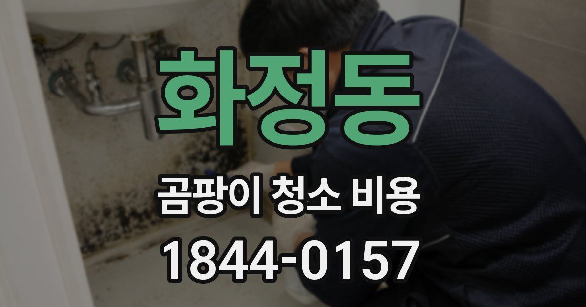 화정동 곰팡이 청소 비용