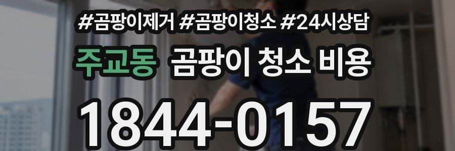 주교동 곰팡이 청소 비용