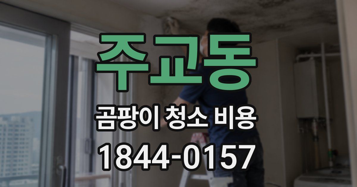 주교동 곰팡이 청소 비용