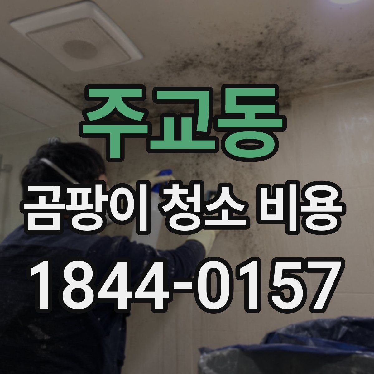 주교동 곰팡이 청소 비용