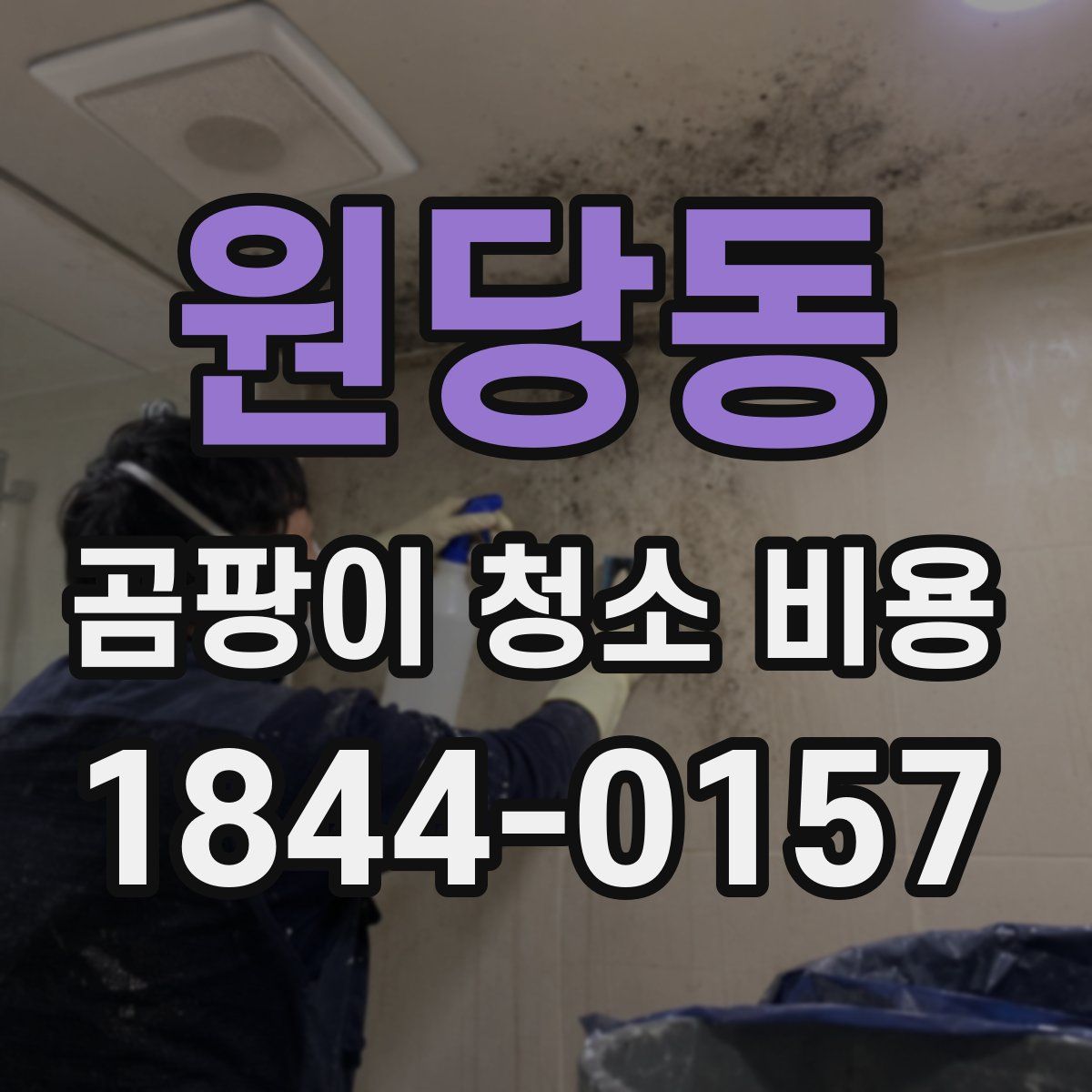 원당동 곰팡이 청소 비용