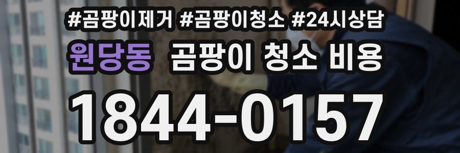 원당동 곰팡이 청소 비용