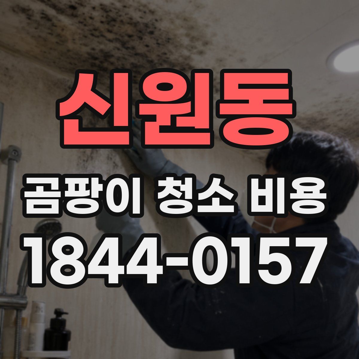 신원동 곰팡이 청소 비용