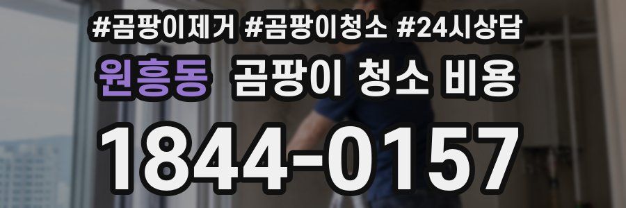 원흥동 곰팡이 청소 비용