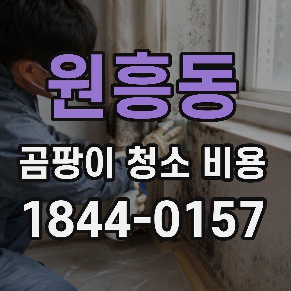원흥동 곰팡이 청소 비용