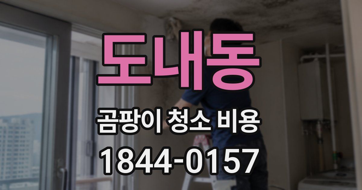 도내동 곰팡이 청소 비용