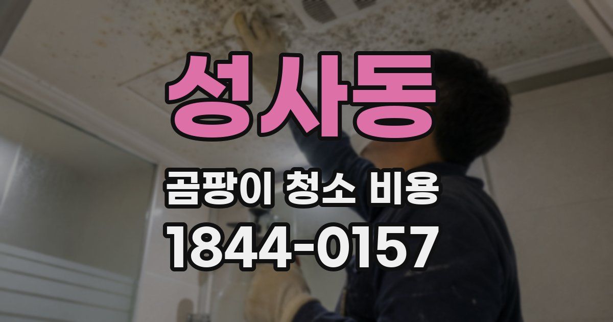 성사동 곰팡이 청소 비용