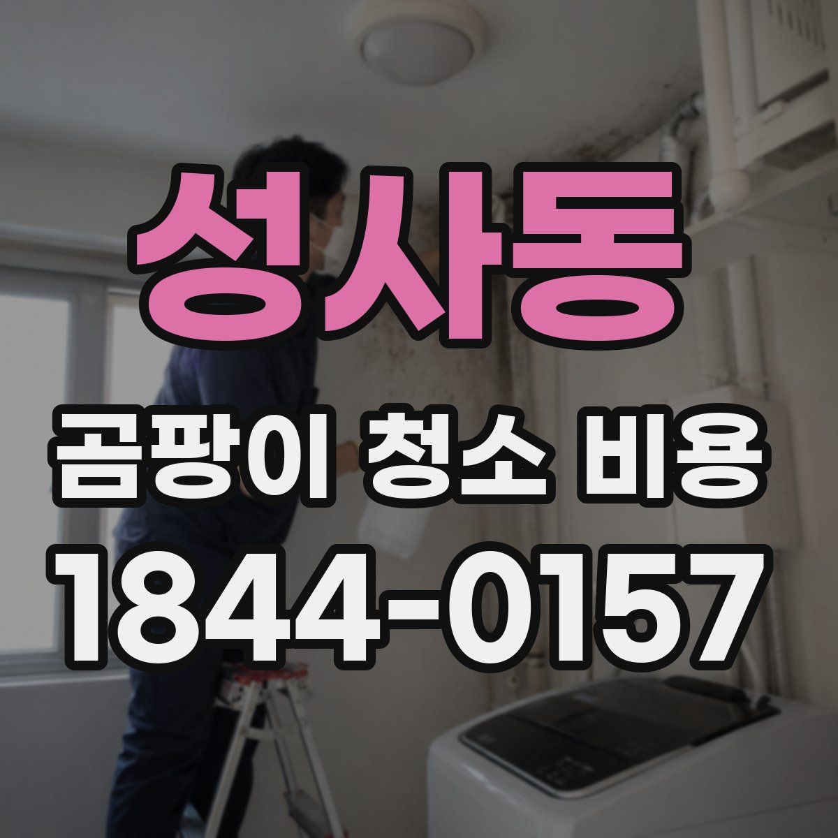 성사동 곰팡이 청소 비용
