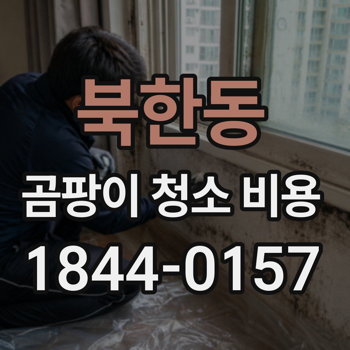 북한동 곰팡이 청소 비용