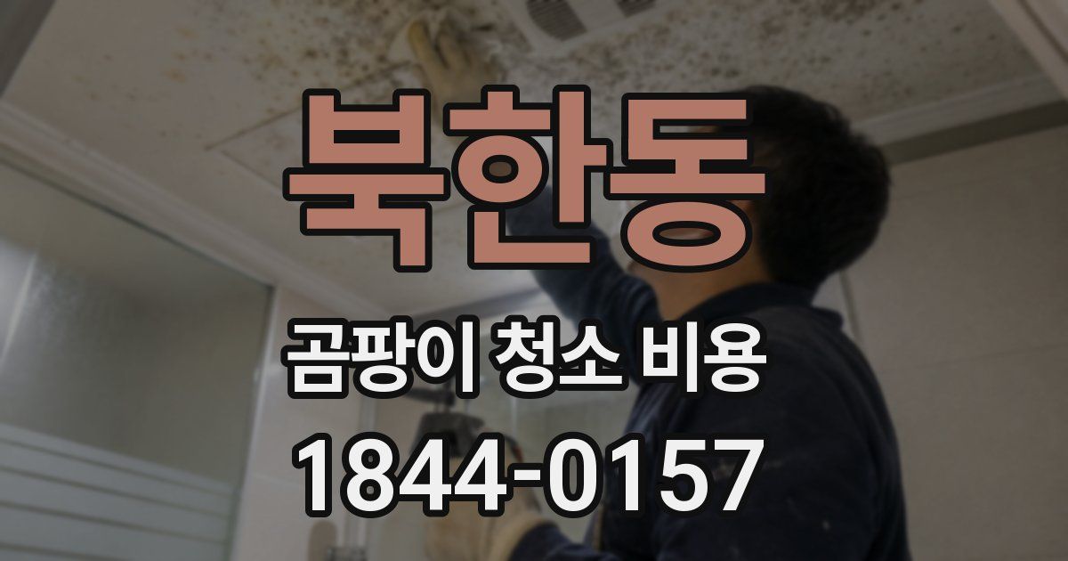 북한동 곰팡이 청소 비용