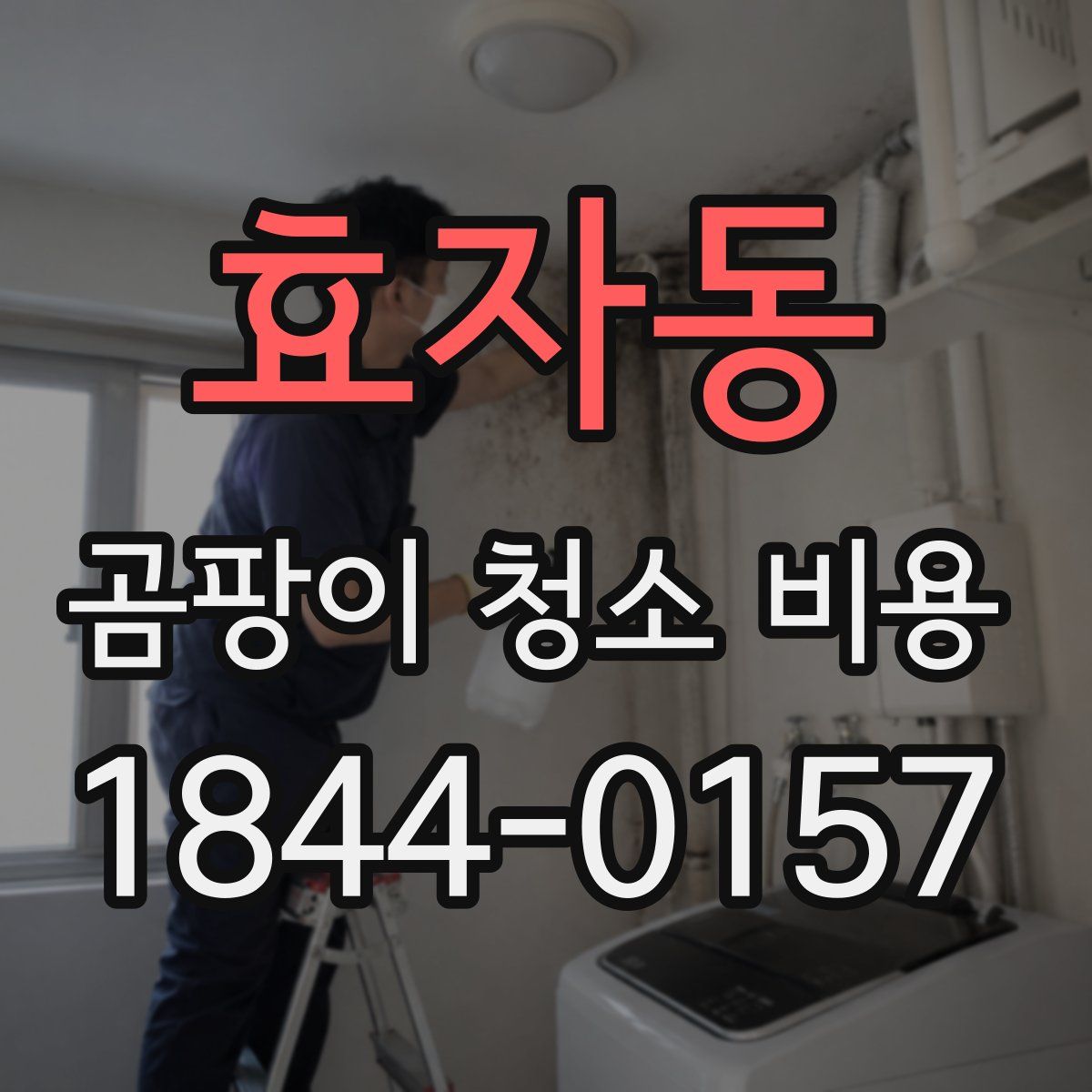 효자동 곰팡이 청소 비용