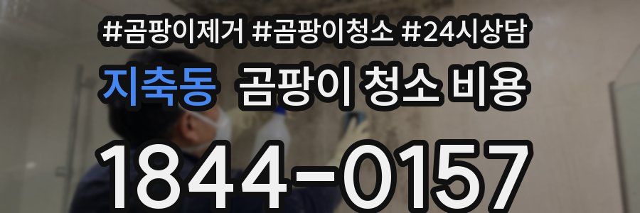 지축동 곰팡이 청소 비용
