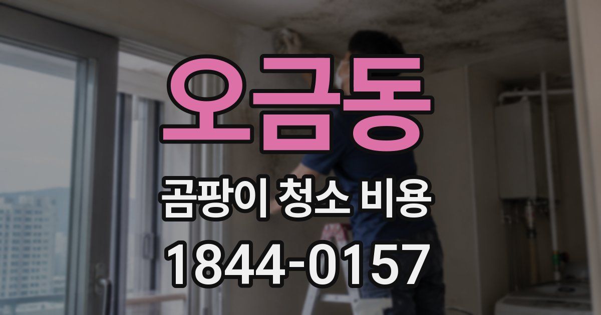 오금동 곰팡이 청소 비용