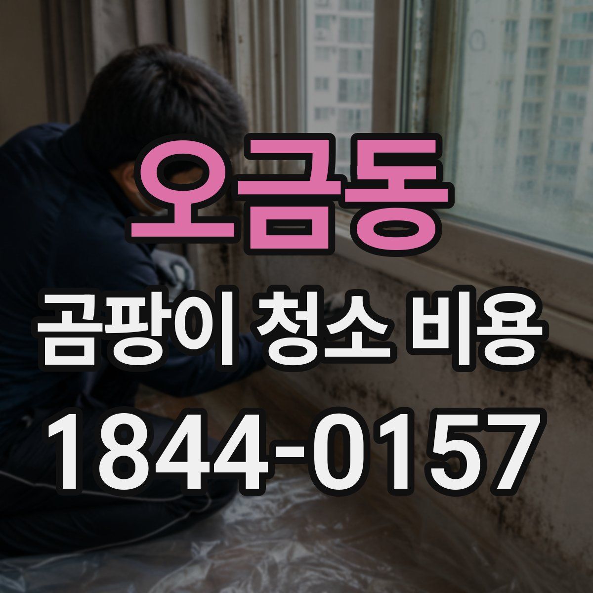 오금동 곰팡이 청소 비용