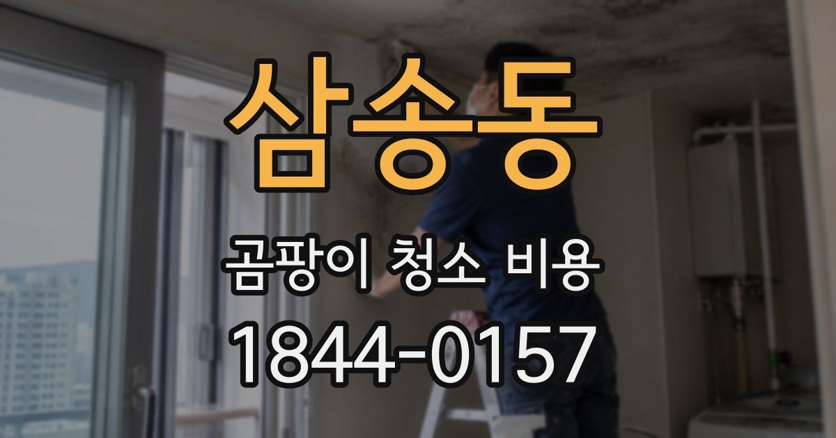 삼송동 곰팡이 청소 비용