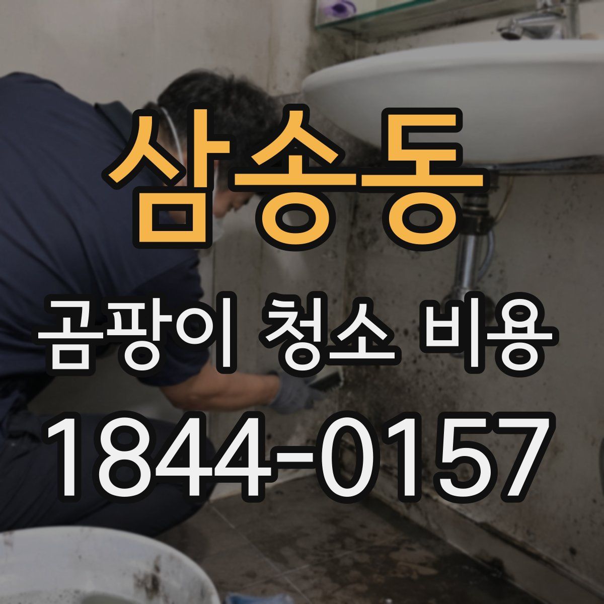 삼송동 곰팡이 청소 비용