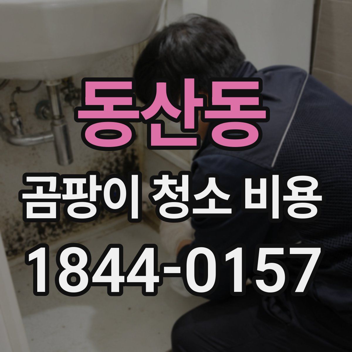 동산동 곰팡이 청소 비용