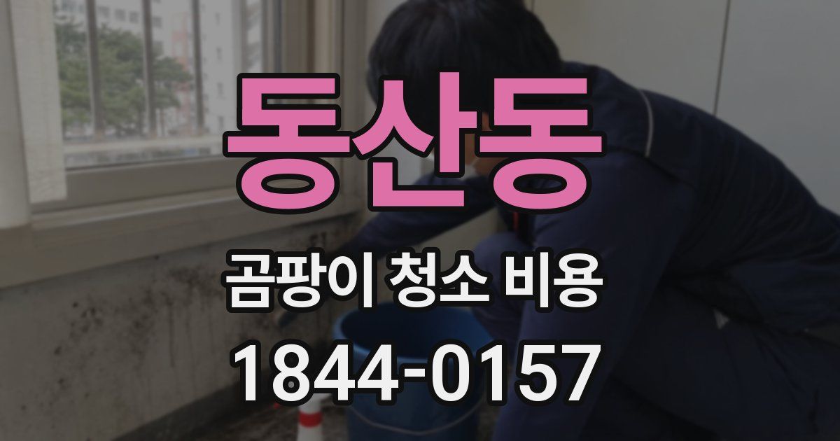 동산동 곰팡이 청소 비용