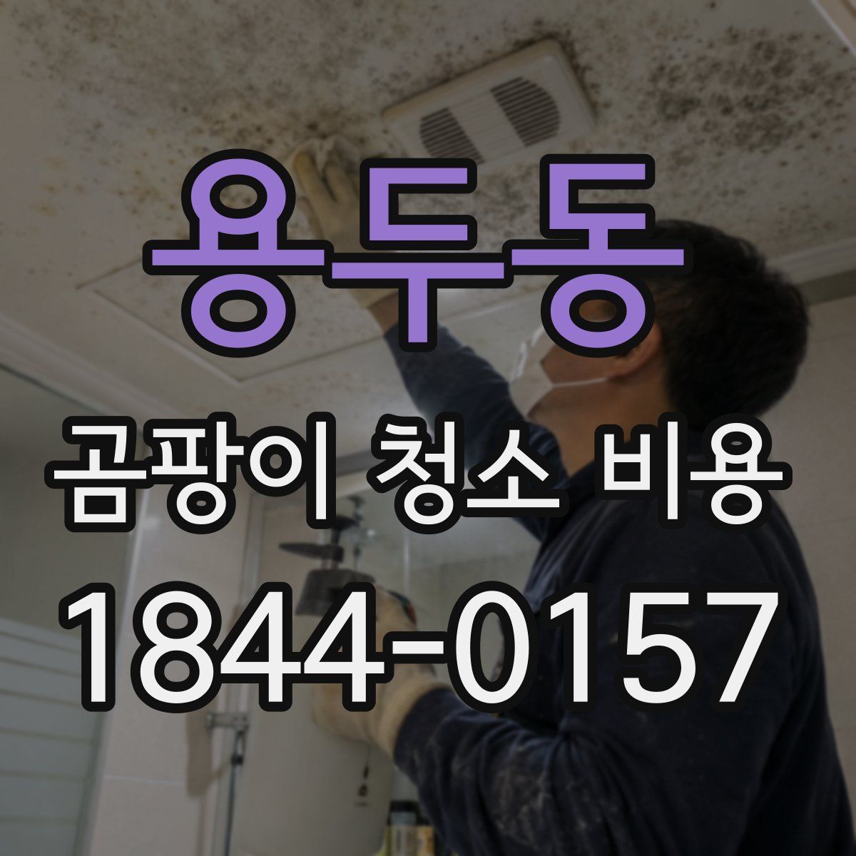 용두동 곰팡이 청소 비용