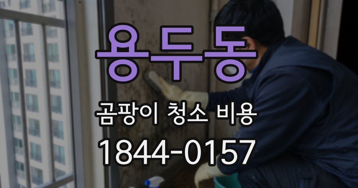 용두동 곰팡이 청소 비용